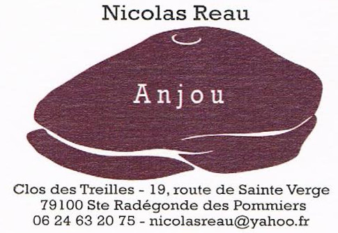 Nicolas Reau